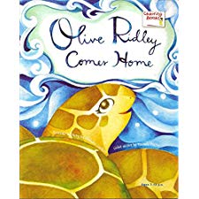 Olive Ridley Comes Home