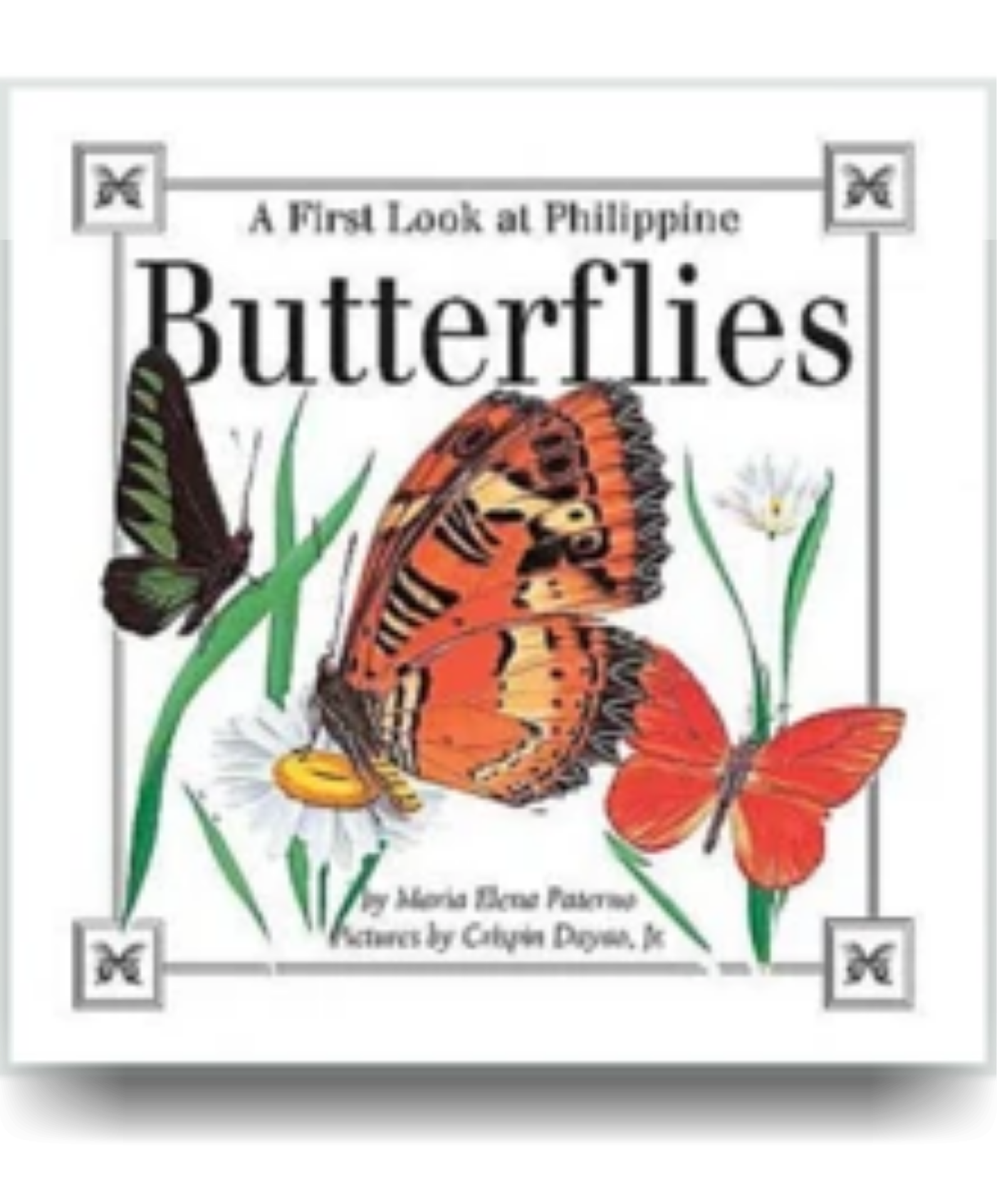 A First Look at Philippine BUTTERFLIES - Philippine Expressions Bookshop